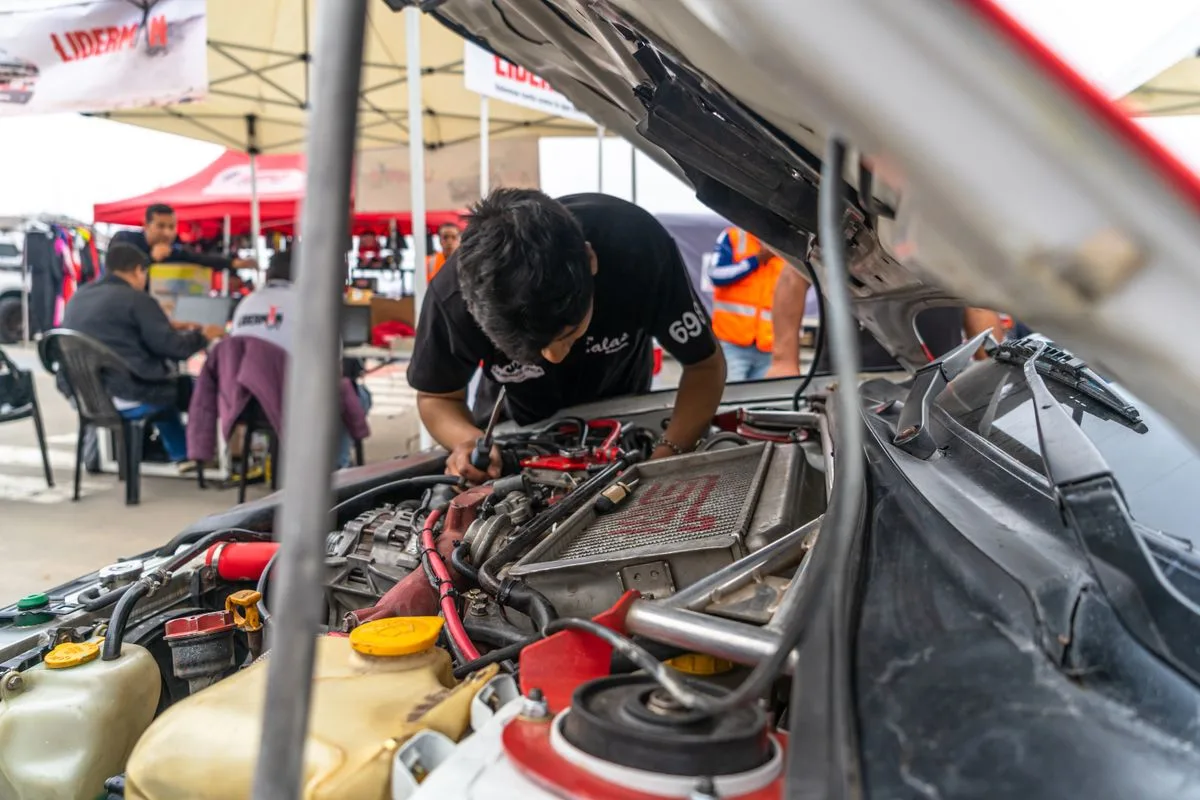 Professional cleaning of the engine compartment