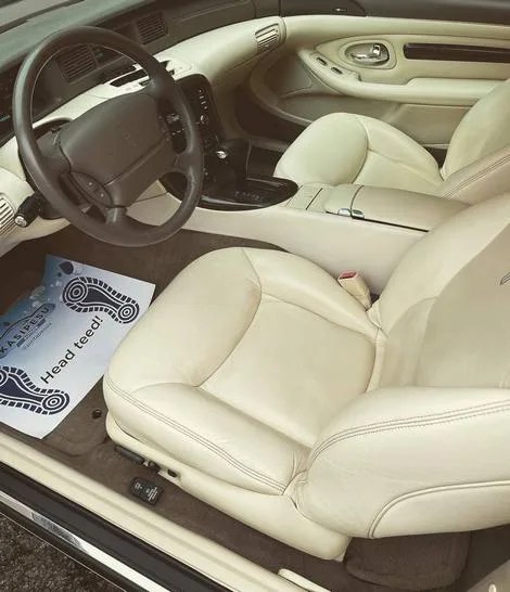 Caring for leather car interior